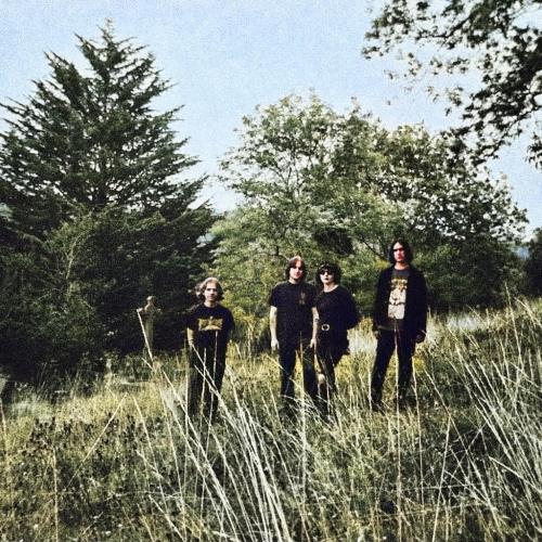 The Wytches