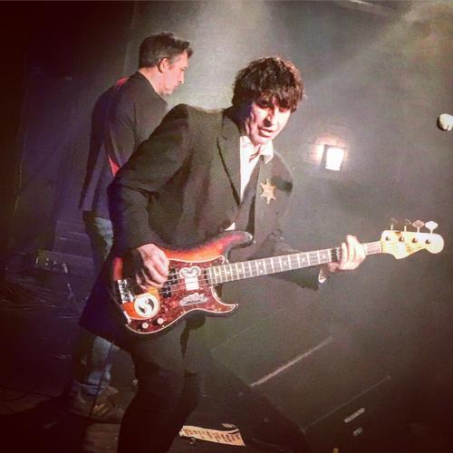 The Chameleons