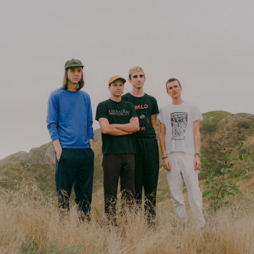 DIIV